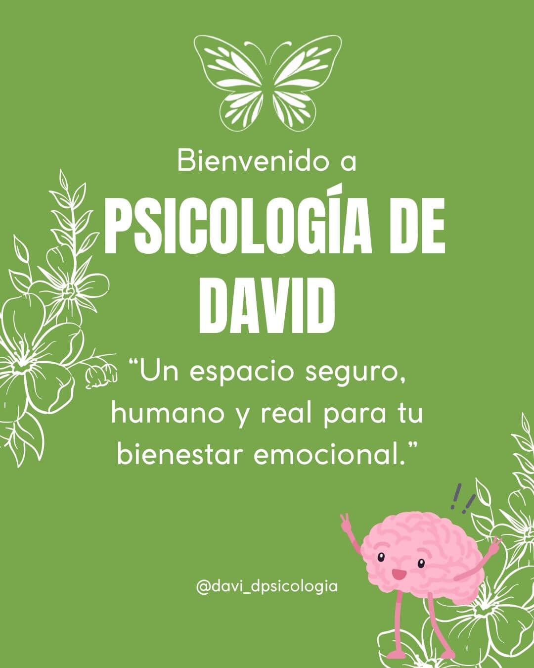 Psicología de David